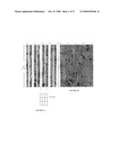 Method to generate numerical pseudocores using borehole images, digital rock samples, and multi-point statistics diagram and image