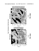 HIGH RESOLUTION MONITORING OF CD VARIATIONS diagram and image