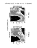 HIGH RESOLUTION MONITORING OF CD VARIATIONS diagram and image