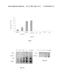 Heat resistant plants and plant tissues and methods and materials for making and using same diagram and image