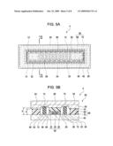 ORGANIC ELECTROLUMINESCENT APPARATUS diagram and image