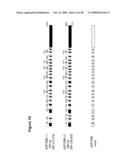 NUCLEIC ACIDS AND CORRESPONDING PROTEINS ENTITLED 254P1D6B USEFUL IN TREATMENT AND DETECTION OF CANCER diagram and image