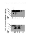 NUCLEIC ACIDS AND CORRESPONDING PROTEINS ENTITLED 254P1D6B USEFUL IN TREATMENT AND DETECTION OF CANCER diagram and image