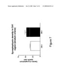 Cyclic Glycyl-2-Allyl Proline Improves Cognitive Performance in Impaired Animals diagram and image