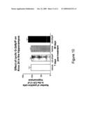 Cyclic Glycyl-2-Allyl Proline Improves Cognitive Performance in Impaired Animals diagram and image