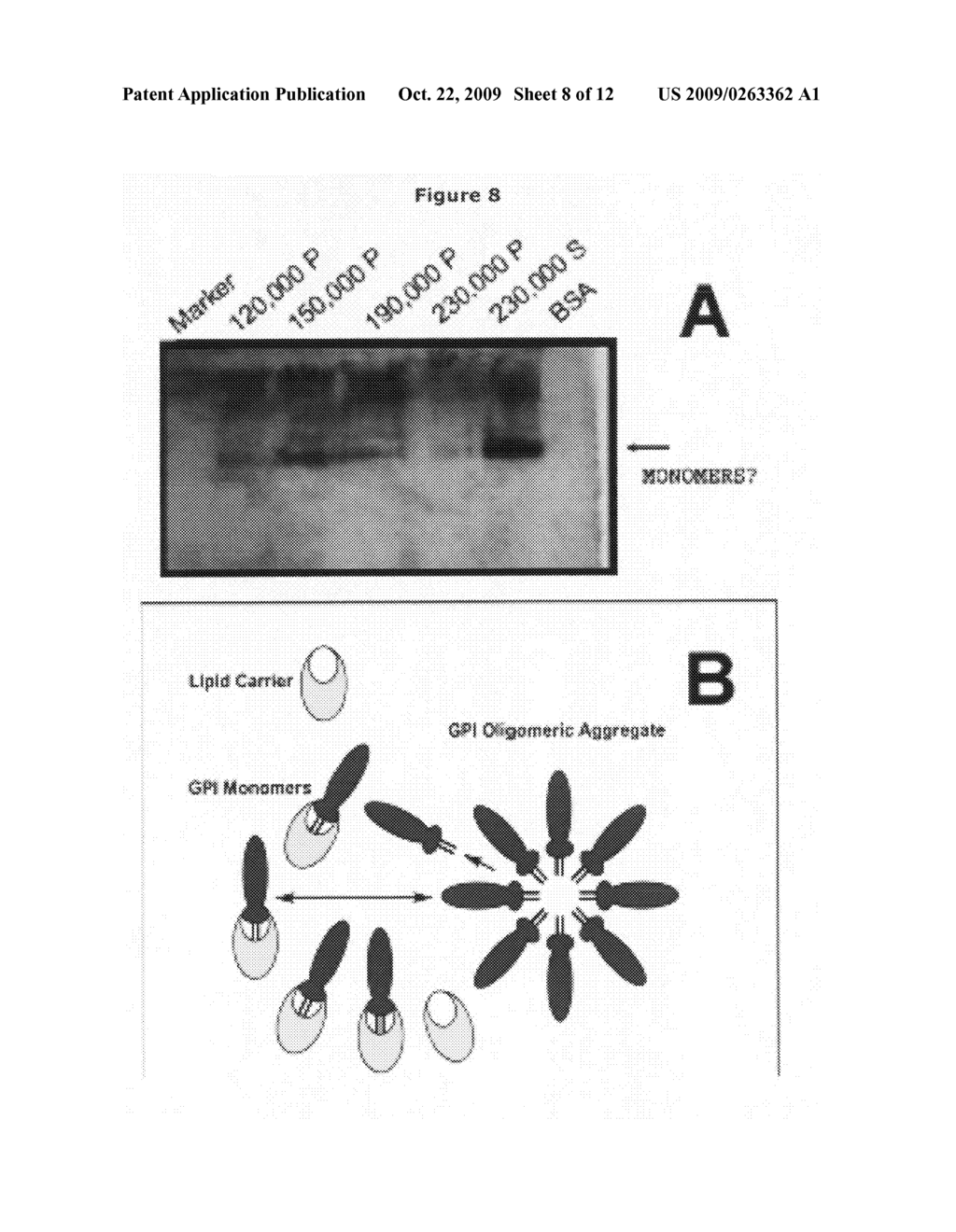 FERTILITY ENHANCEMENT USING LIPID CARRIERS AND BIOACTIVE MOLECULES - diagram, schematic, and image 09