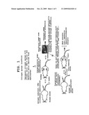 ARTIFICIAL LYMPH NODE FOR TREATING CANCER diagram and image