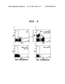 ARTIFICIAL LYMPH NODE FOR TREATING CANCER diagram and image