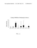 DELIVERY OF NUCLEIC ACID COMPLEXES FROM MATERIALS INCLUDING NEGATIVELY CHARGED GROUPS diagram and image