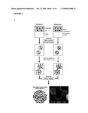 NANOPARTICLE-STABILIZED CAPSULE FORMULATION FOR TREATMENT OF INFLAMMATION diagram and image