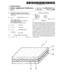 Method of producing separator material for polymer electrolyte fuel cell diagram and image