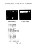 Method for Detecting Nucleic Acid Sequences diagram and image