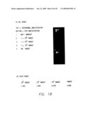 Method for Detecting Nucleic Acid Sequences diagram and image