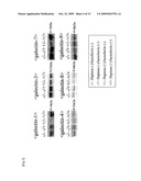 ATOPIC DERMATITIS MARKER AND TECHNIQUE OF USING THE SAME diagram and image