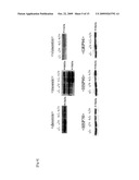 ATOPIC DERMATITIS MARKER AND TECHNIQUE OF USING THE SAME diagram and image