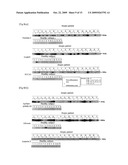 ATOPIC DERMATITIS MARKER AND TECHNIQUE OF USING THE SAME diagram and image