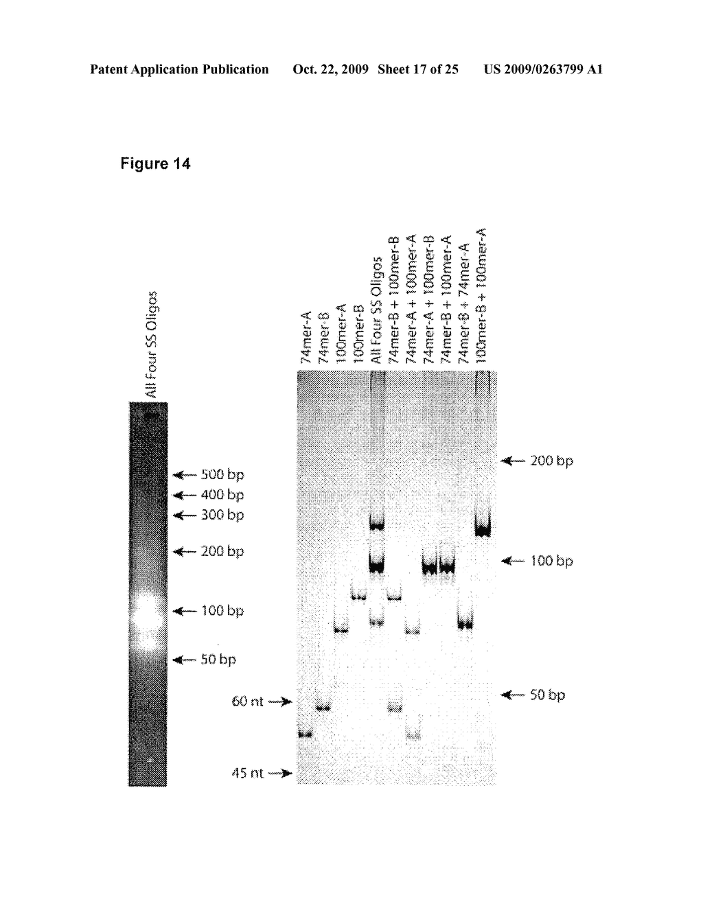 ASSAY FOR PROSTATE CANCER - diagram, schematic, and image 18