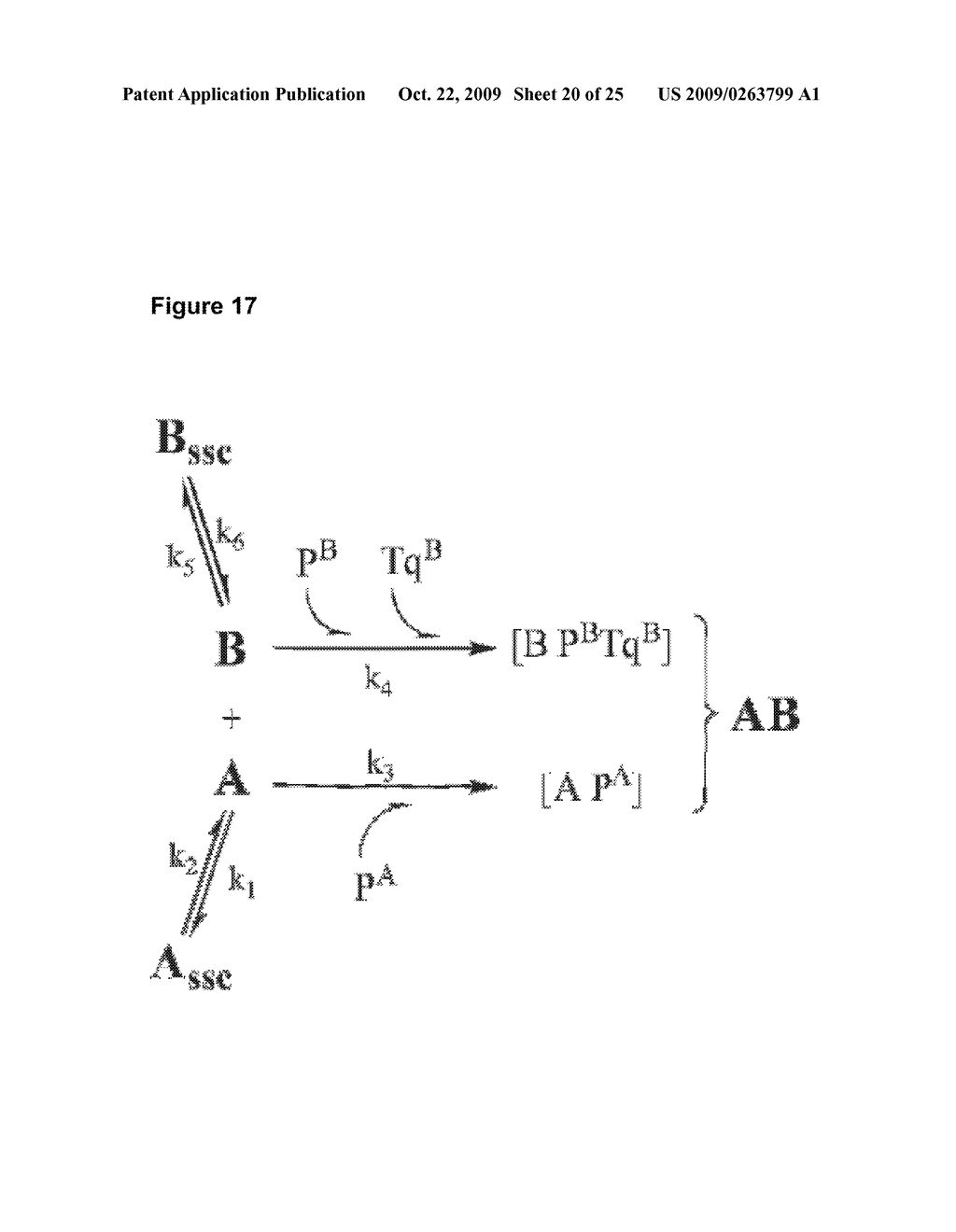 ASSAY FOR PROSTATE CANCER - diagram, schematic, and image 21