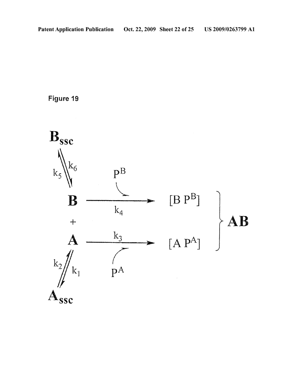 ASSAY FOR PROSTATE CANCER - diagram, schematic, and image 23