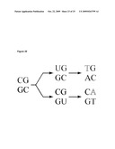 ASSAY FOR PROSTATE CANCER diagram and image