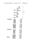 Methods and compositions for efficient base calling in sequencing reactions diagram and image