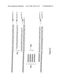 Methods and compositions for efficient base calling in sequencing reactions diagram and image