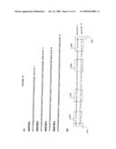 Methods and compositions for efficient base calling in sequencing reactions diagram and image