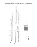 Methods and compositions for efficient base calling in sequencing reactions diagram and image