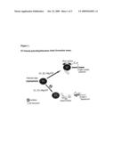 Ubiquitin Ligase Assays And Related Reagents diagram and image