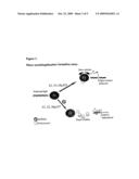 Ubiquitin Ligase Assays And Related Reagents diagram and image