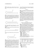 Methods and Compositions for PCR diagram and image