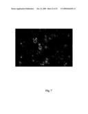 High throughput genome sequencing on DNA arrays diagram and image