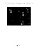 High throughput genome sequencing on DNA arrays diagram and image