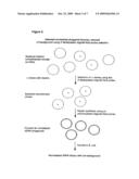 NORMALIZED NUCLEIC ACID LIBRARIES AND METHODS OF PRODUCTION THEREOF diagram and image