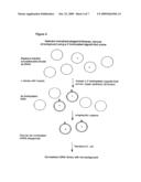 NORMALIZED NUCLEIC ACID LIBRARIES AND METHODS OF PRODUCTION THEREOF diagram and image