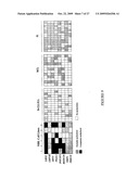 DNA METHYLATION BIOMARKERS IN LYMPHOID AND HEMATOPOIETIC MALIGNANCIES diagram and image