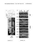 DNA METHYLATION BIOMARKERS IN LYMPHOID AND HEMATOPOIETIC MALIGNANCIES diagram and image