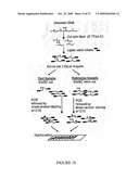 DNA METHYLATION BIOMARKERS IN LYMPHOID AND HEMATOPOIETIC MALIGNANCIES diagram and image