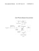 Cellular GPRS-communication linked glucometer - pedometer diagram and image