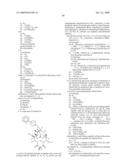 6,11-BRIDGED BIARYL MACROLIDES diagram and image