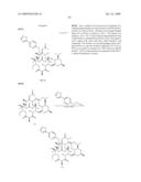 6,11-BRIDGED BIARYL MACROLIDES diagram and image