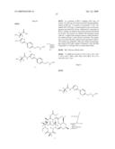 6,11-BRIDGED BIARYL MACROLIDES diagram and image