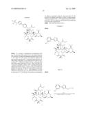 6,11-BRIDGED BIARYL MACROLIDES diagram and image