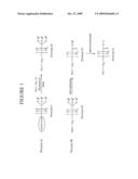 Method for Preparing Water-Soluble Polymer Derivatives Bearing a Terminal Carboxylic Acid diagram and image