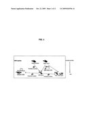 METHOD AND TERMINAL FOR AUTHENTICATING BETWEEN DRM AGENTS FOR MOVING RO diagram and image