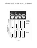 Plant Gene Promoter and its Use diagram and image