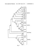 STRESS TOLERANCE IN PLANTS diagram and image