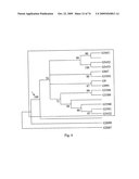 STRESS TOLERANCE IN PLANTS diagram and image