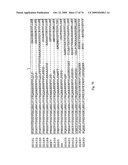 STRESS TOLERANCE IN PLANTS diagram and image