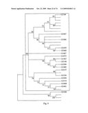 STRESS TOLERANCE IN PLANTS diagram and image